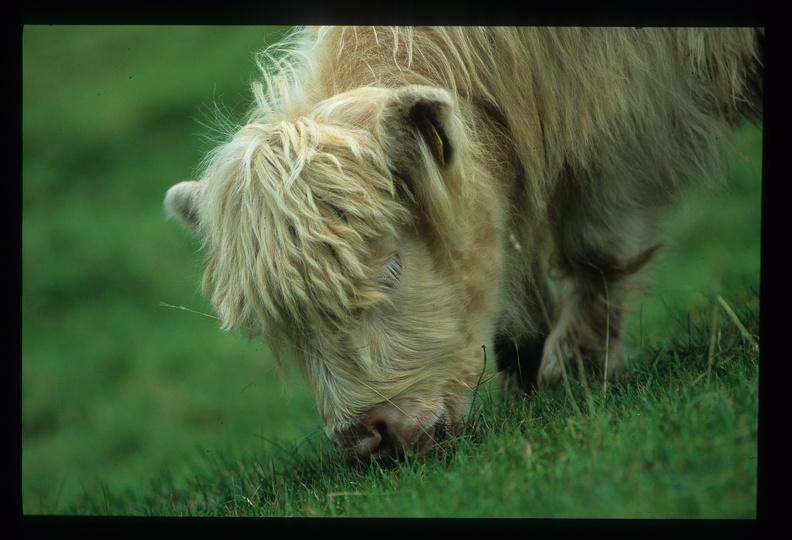 96d0062f1fa0417c093566eaaf7abd76