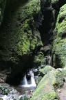picture-0031